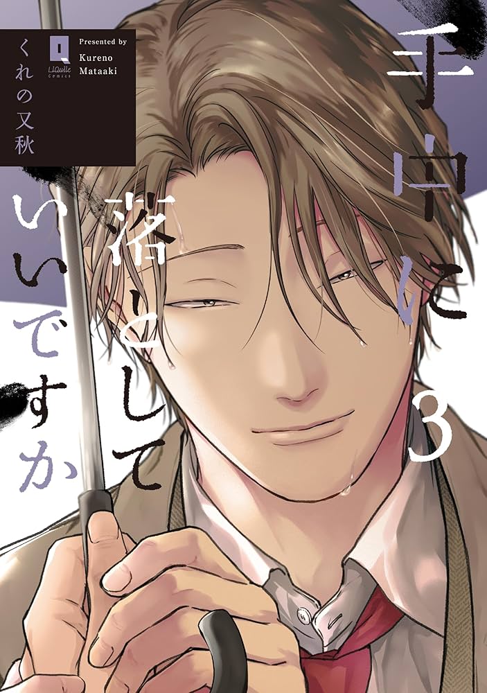 手中に落としていいですか 3 (リキューレコミックス) | くれの又